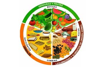 Alimentación Saludable