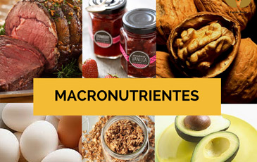 macronutrientes
